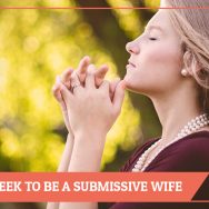 Five Ways I Seek To Be A Submissive Wife